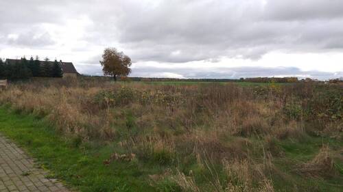 Blick von der Strasse n. West - 