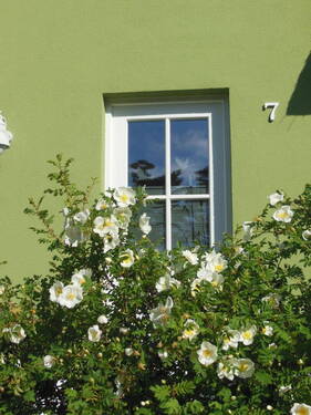 Bild 4 - Mehrfamilienhaus, Wohnhaus mit 107,00 m² in Glowe zum Kaufen