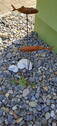 Bild 6 - 
