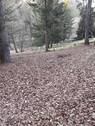 Bild 19 - 