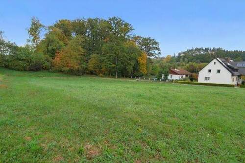 Bild2 - Grundstück zum Kaufen in Grub a.Forst