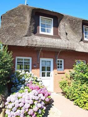 Frontansicht - 3 Zimmer Mehrfamilienhaus, Wohnhaus zum Kaufen in Sylt