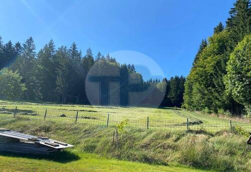 Fernsicht 1 - 7 Zimmer Mehrfamilienhaus, Wohnhaus zum Kaufen in Freyung