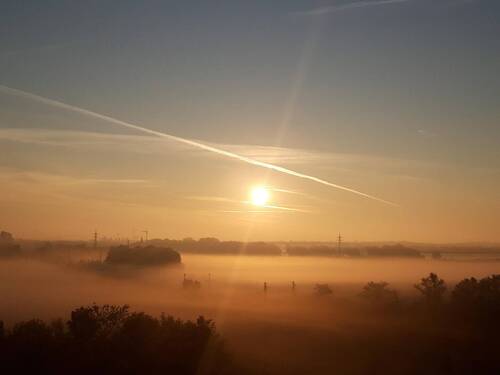 Sonnenaufgang im Nebel - 