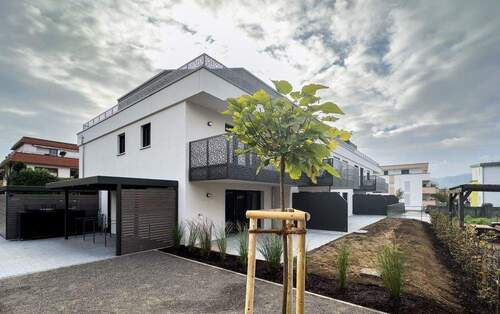 Gebäudeansicht / Oktober 2025 mit Pflanzen - 4 Zimmer Etagenwohnung in Güglingen