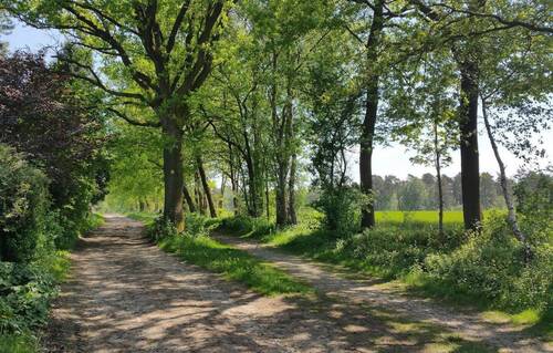 Wanderweg vor der Haustür - 