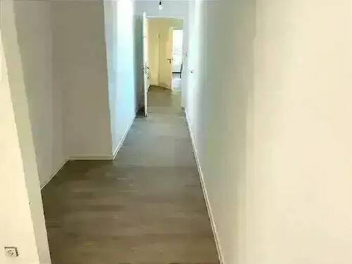 original (5).webp - 