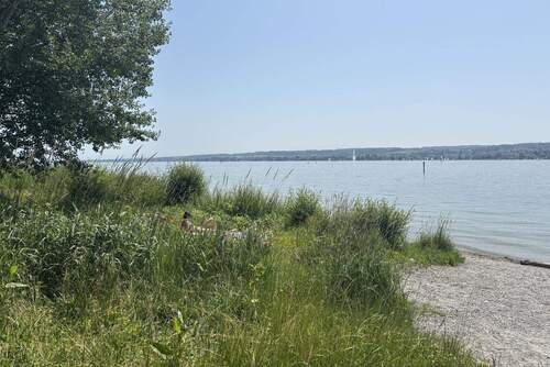 Ufer vor dem Objekt - 