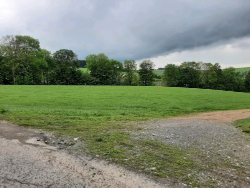 4a80ecac-3ecc-4b83-a785-0572147a1132 - Grundstück zum Kaufen in Sachsen - Rechenberg - Bienenmühle