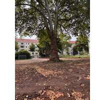 Exkl. 4 Zimmer-Neubauwohnung KfW40 Aufzug Baubeginn ist erfolgt! - Dresden Südvorstadt-West