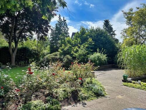 Blick in den Garten - 