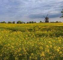 Secret Sale! Historisches Mühlenanwesen mit 3 Wohnungen, Pferdeboxen und vielfältigen Nutzungsmöglichkeiten für Mensch und Tier! - Bad Nauheim Steinfurth