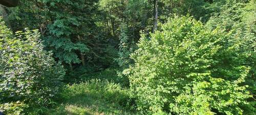 Grundstück Sommer - 