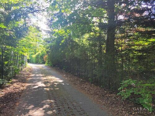 Straße zum Grundstück - Grundstück in Trippstadt