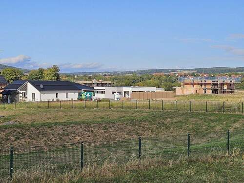 Blick zum Reinhardswald - 