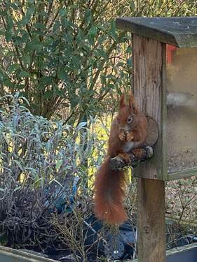 Der Natur ganz nah. - 