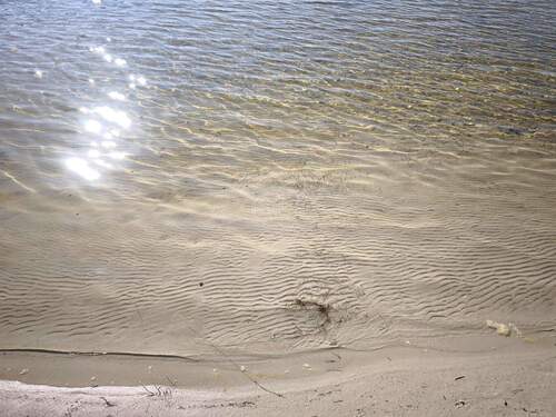 Klares Wasser im Heye Glas See. - 