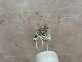 Leerstand WE7 - 