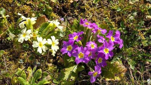 Impressionen - Reihenendhaus mit 106,60 m&sup2; in Essingen zum Kaufen