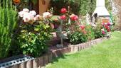 Garten im Sommer - 