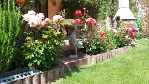 Garten im Sommer - 