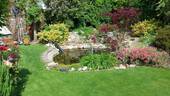 Garten im Sommer - 