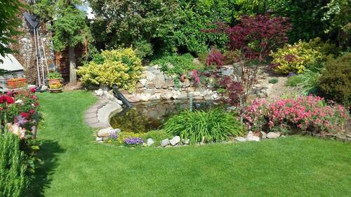Garten im Sommer - 