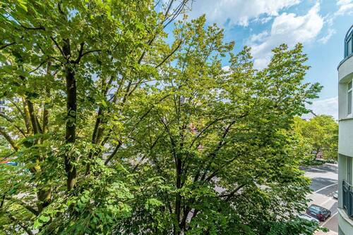 Aussicht - 