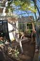 Wintergarten-Ambiente Bild 2 - 