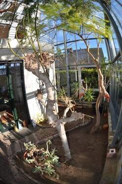 Wintergarten-Ambiente Bild 2 - 