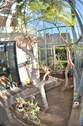 Wintergarten-Ambiente Bild 4 - 