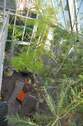 Blick vom Balkon 1. OG - 