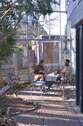 Wintergarten-Ambiente Bild1 - 