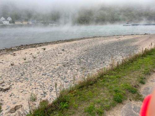 Rheinufer nebelig (4-5 min. Fußweg) - 