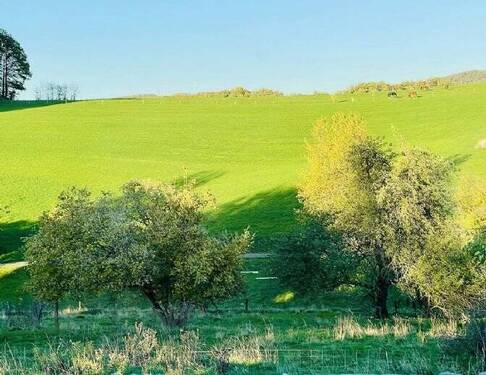 Weitblick-2 - Doppelhaushälfte in Windeck