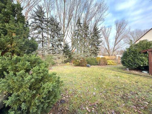 3.jpg - 3 Zimmer Mehrfamilienhaus, Wohnhaus zum Kaufen in Berlin