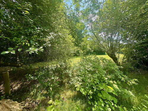 Blick auf die Wiese - Grundstück in Ellerbek