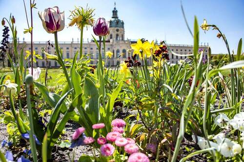 Schlossgarten_1751 - 