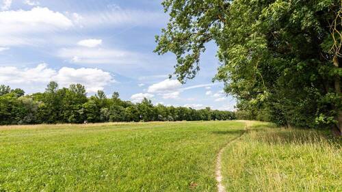 Umgebung - 