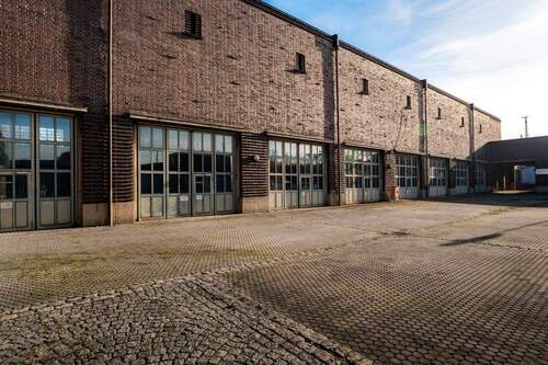 20251105-A4109310 (1).jpg - 