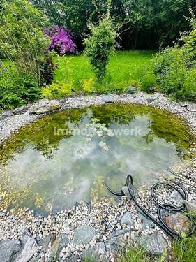 Teich - 