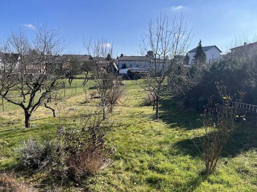 Garten - 