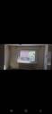 Zimmer EG - 