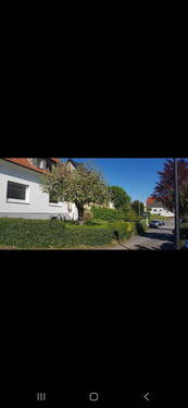 Haus/Vorgarten - 