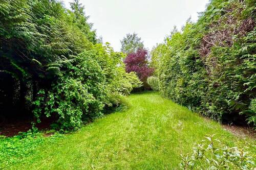 Großer Garten - 
