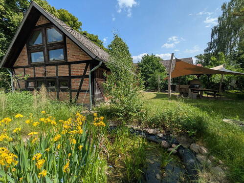 Blick in den Garten - 