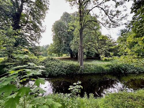 Natur pur in Siebenthsburg - 