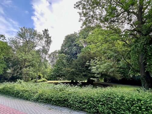 Naturbelassene Spazierwege - 
