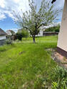 Bienengarten mit Obstbaum - 