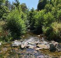 Campingplatz, Zimmervermietung und Gastronomie - gepflegte Familienexistenz in der Eifel - Gerolstein Müllenborn